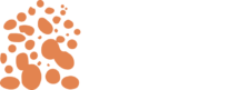 builddoctor.com.au